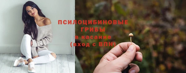 PSILOCYBIN Абинск