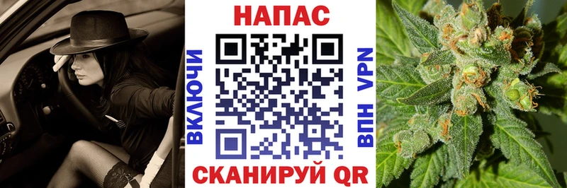 МАРИХУАНА конопля Нелидово
